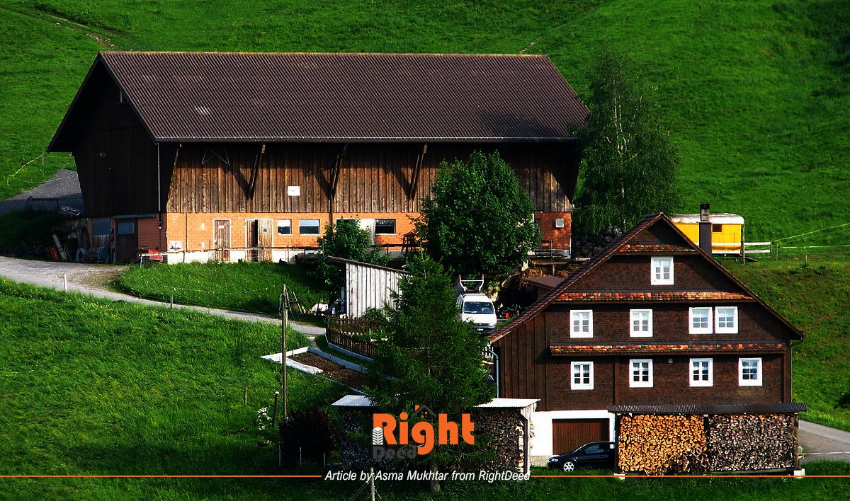 Developing Farm House Culture In Lahore – Do  You Really Need It?
