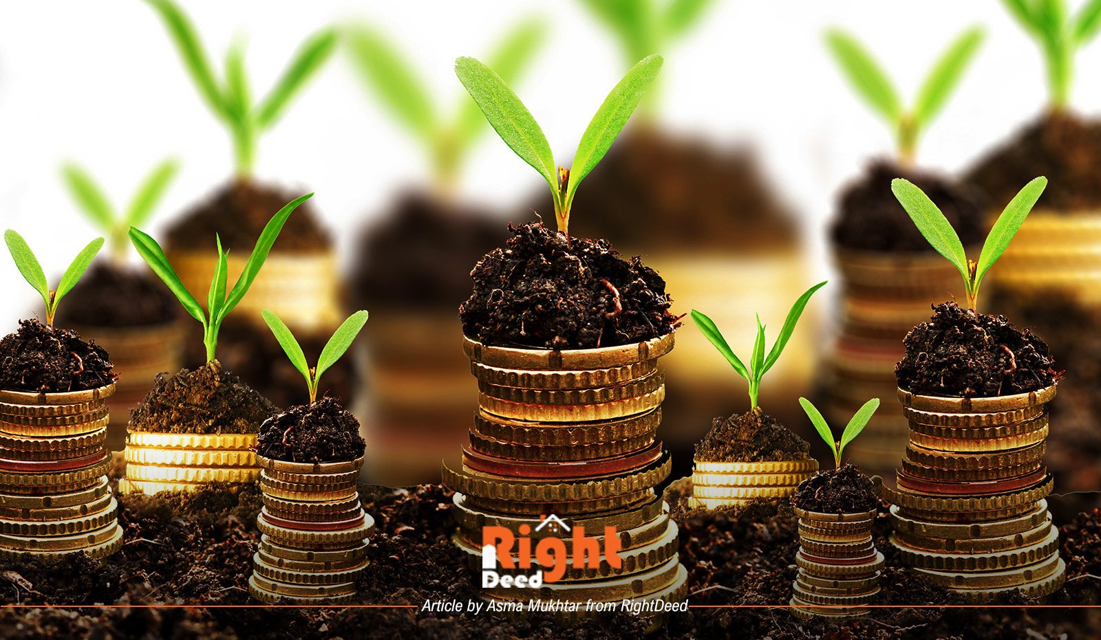 A Handy Guide For Those Investing First Time In Punjab