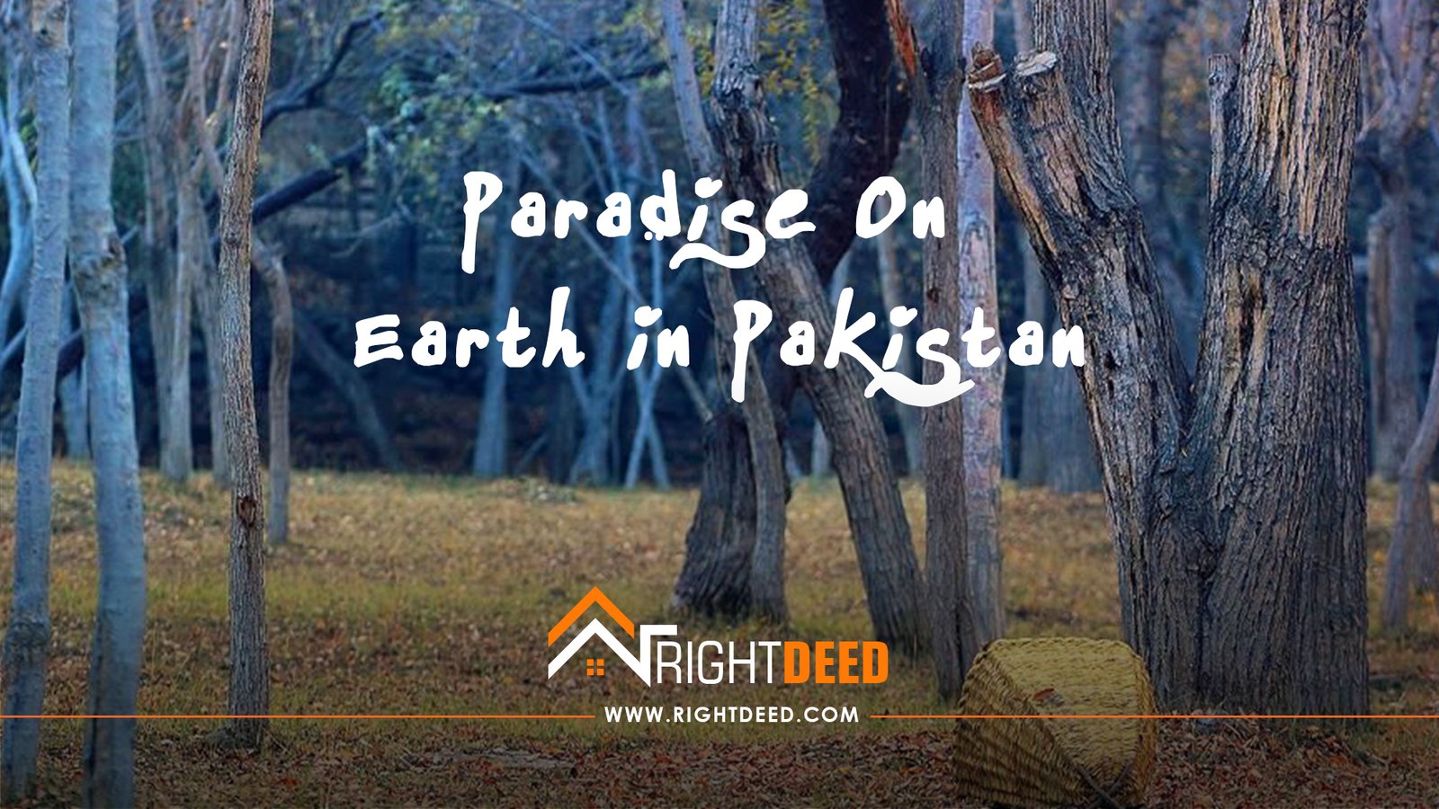Top Most Beautiful Places in Pakistan Where You Must Visit in Summer