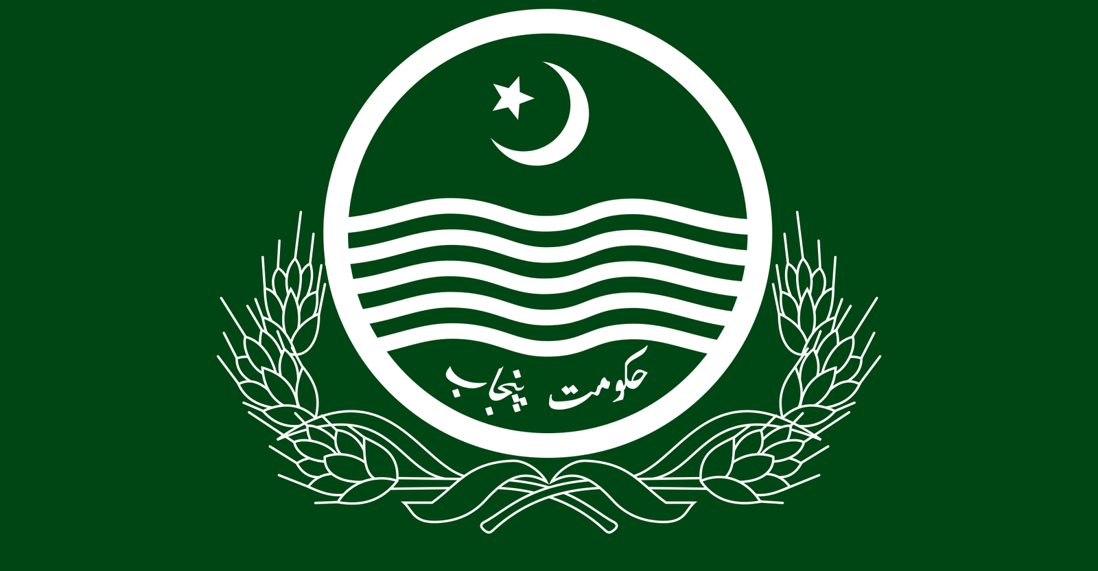 The Government Allocated PKR 8 Billion for Punjab  Aab-E-Pak Authority