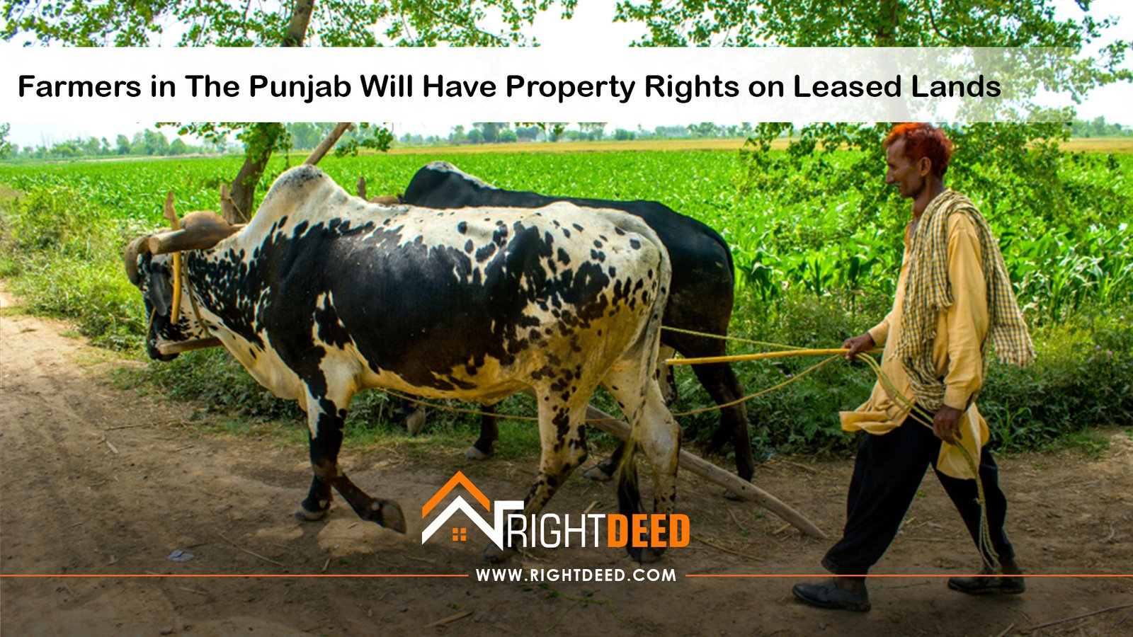 Farmers in The Punjab Will Have Property Rights on Leased Lands