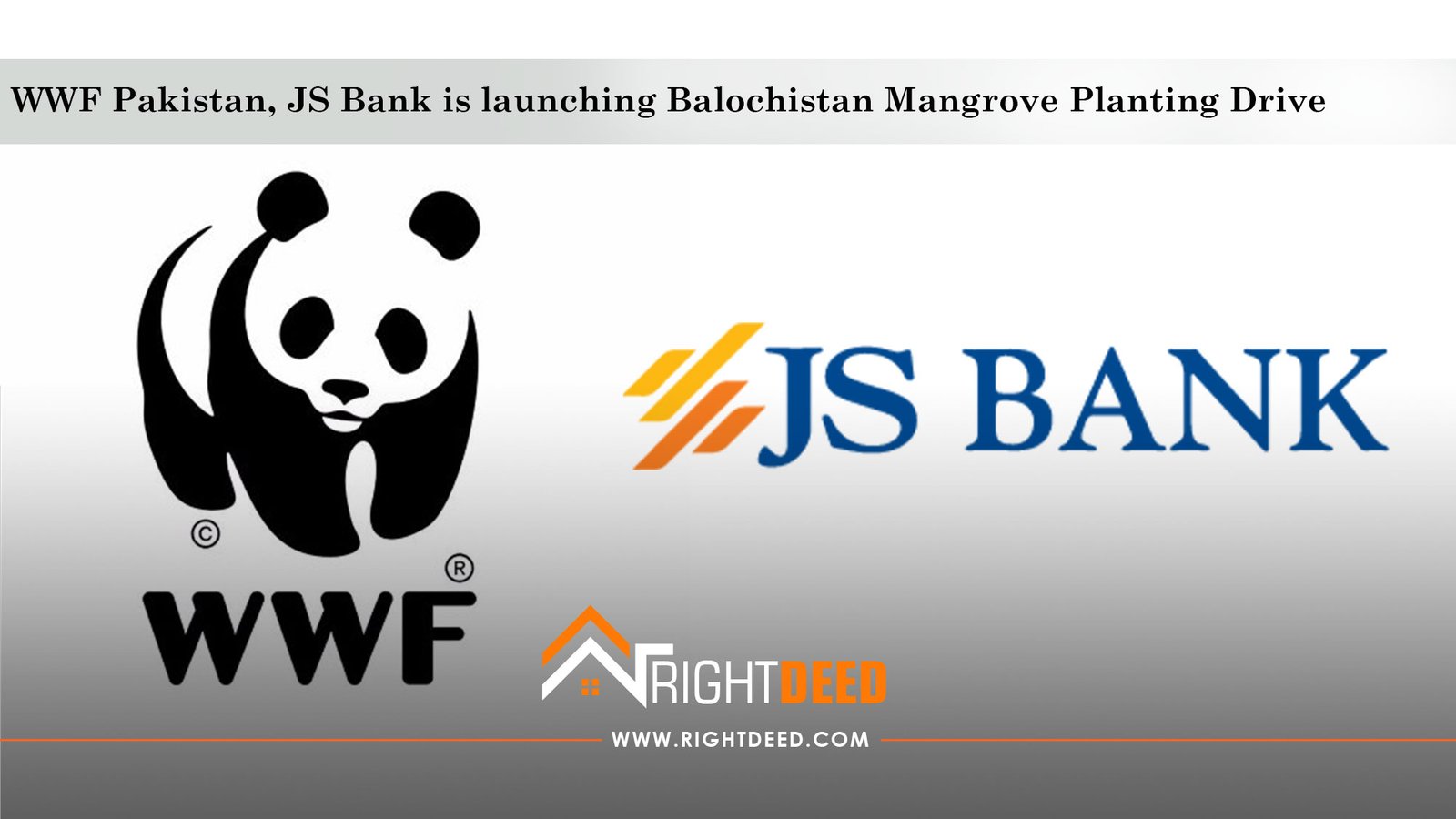 WWF, JS Bank is launching Balochistan Mangrove Planting Drive
