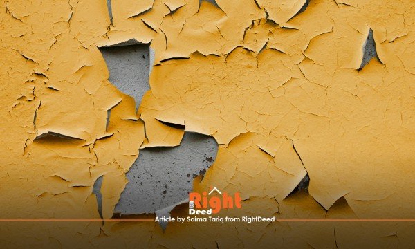 Worried About How to Fix Flaking Paint in Your Home?