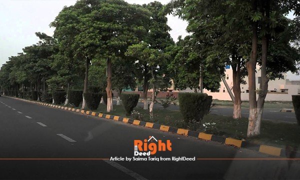 NFC Phase II - The Scheme Is Finally Heading Towards Improvement