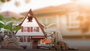 Investing in Real Estate