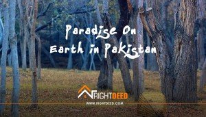 Top Most Beautiful Places in Pakistan Where You Must Visit in Summer