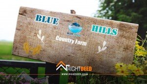 Blue Hills Country Farms Islamabad