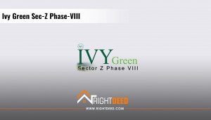 Ivy Green Sec-Z Phase-VIII