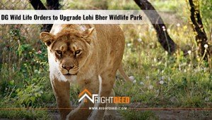 DG Wild Life Orders to Upgrade Lohi Bher Wildlife Park