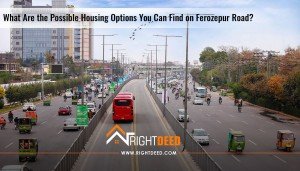 What Are the Possible Housing Options You Can Find on Ferozepur Road?